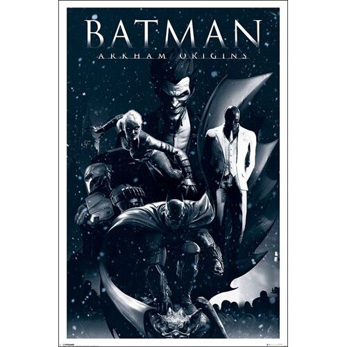 Batman Arkham Origins -  - Affiche / Poster Envoi En Tube