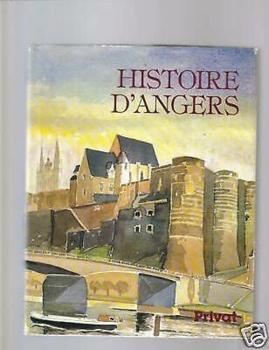 Histoire D'angers Privat