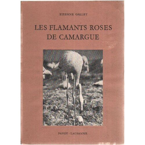 Les Flamants Roses De Camargue