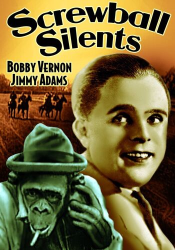 Screwball Silents An Overall Hero (1920) / Nerve Tonic (1924) / Splash Yourself (1927) (Silent)