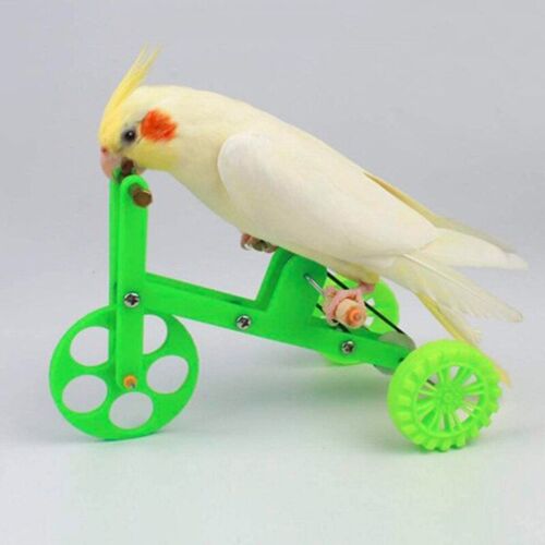 Jouet De Perroquet Amusant, Vélo, Accessoires Éducatifs Interactifs Pour Perruche, Perruche, Conure, Livraison Directe