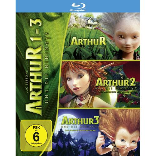 Arthur Und Die Minimoys 1-3 (3 Discs)