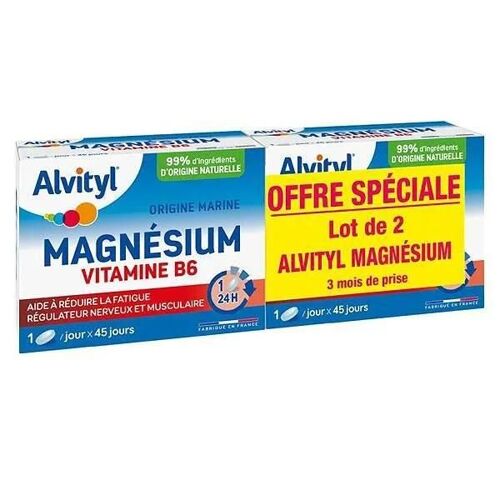 Alvityl Magnésium Vitamine B6 Libération Prolongée Dès 12 Ans 2x45 Comprimés 