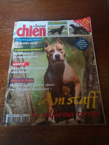 Atout Chien Numéro 234 - Am'staff Le Sulfureux Terrier