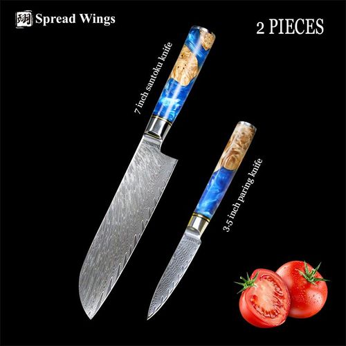 2pcs Couteau Réglé Un - Couteaux De Cuisine En Acier Damas 67 Couches, Santoku Cleaver Chef Utilitaire Pour Trancher Le Pain, Désosser Paring Nakiriri Ensemble De Couteaux De Cuisine
