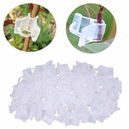 Mini Clips De Greffage En Plastique Transparent, 100 Pièces/Paquet, Pinces À Tomates, Supports Pour Plantes Vignes, Semis