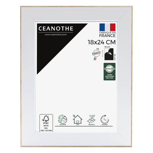 Cadre photo Newton brut 18x24 cm
