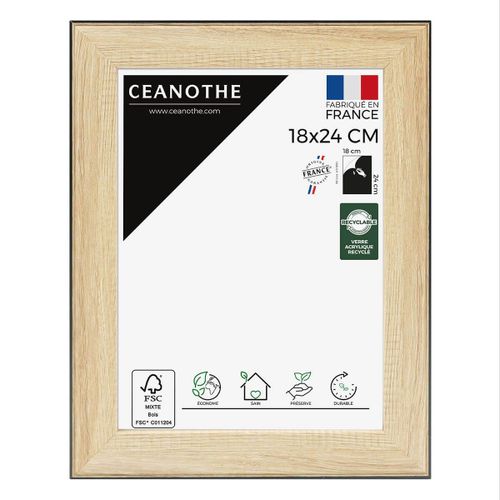 Cadre photo Newton bois noir 18x24 cm