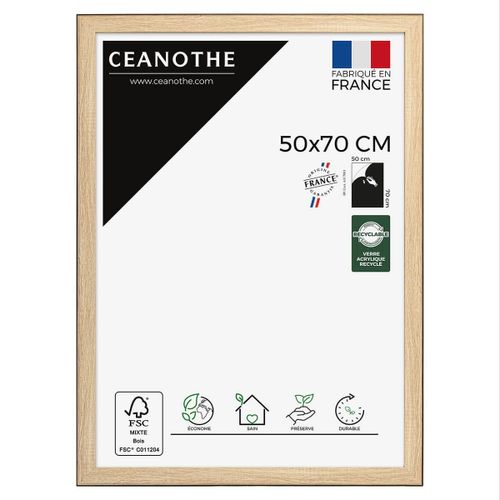 Cadre photo Newton bois noir 50x70 cm