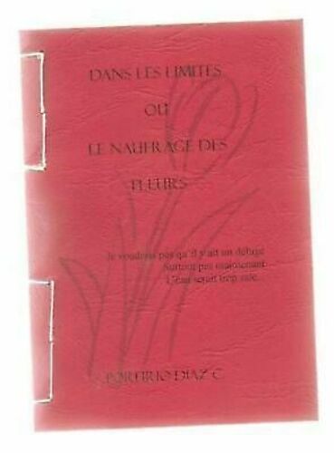 Dans Les Limites Le Naufrage Des Fleurs Porfirio Diaz