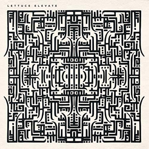 Lettuce - Elevate [Vinyl] Gatefold Lp Jacket, Picture Disc