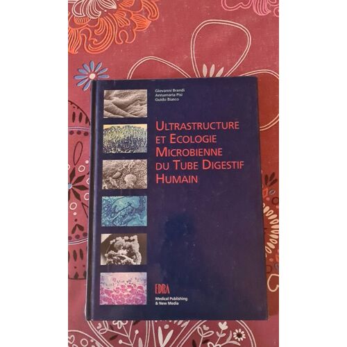 Ultrastructure Et Écologie Microbienne Du Tube Digestif Humain