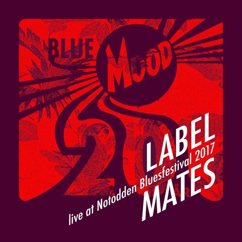 Live At Notodden Blues Festival 20