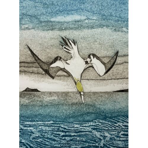 Wild Birds Pocket Notebook: Gannet