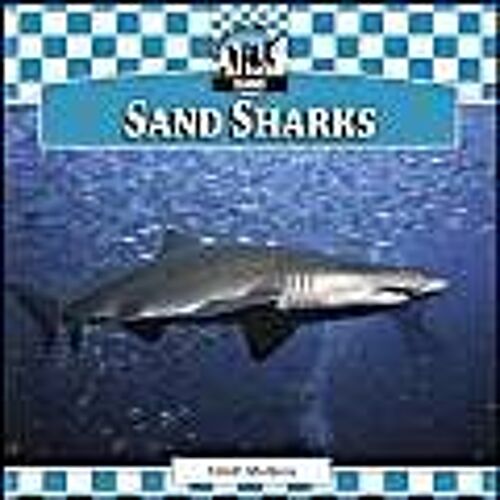 Sand Sharks
