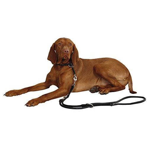 Kerbl Roma Collier Etrangleur Pour Chien Noir 45 Cm 8 Mm