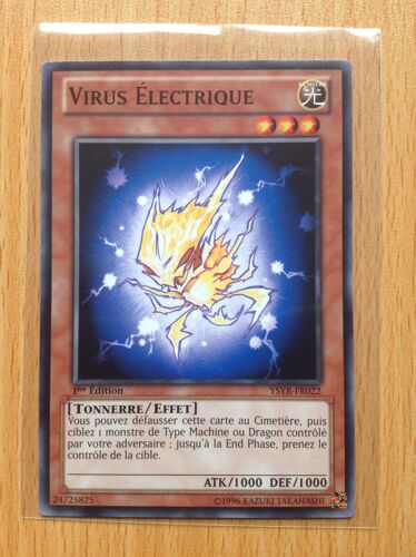 Virus Electrique --Ysyr-Fr022