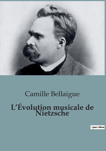 L¿Évolution Musicale De Nietzsche