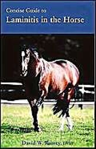 Concise Guide To Laminitis In The Horse