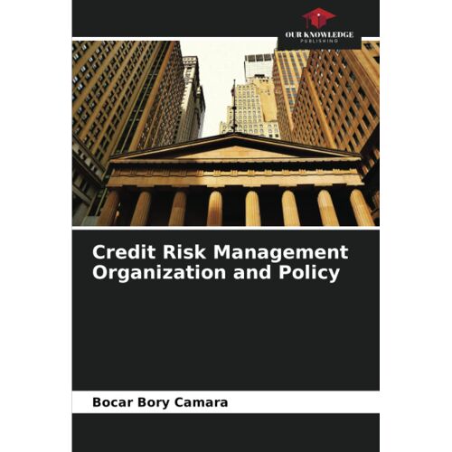Credit Risk Management Organization And Policy