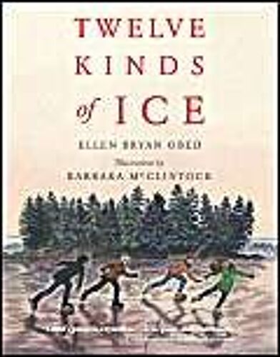 Twelve Kinds Of Ice