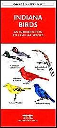 Indiana Birds: An Introduction To Familiar Species