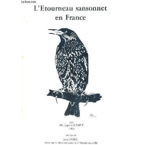 L'etourneau Sansonnet En France.