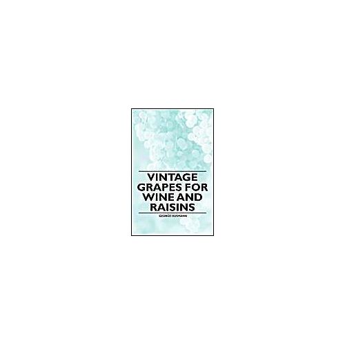 Vintage Grapes For Wine And Raisins