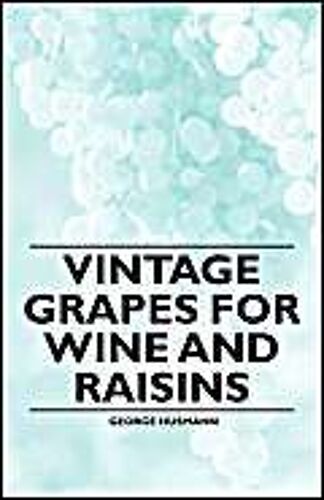 Vintage Grapes For Wine And Raisins