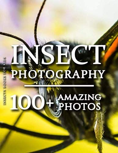 Insects Books For Kids - Insect Photography: 100+ Amazing Pictures And Photos In This Fantastic Insects Photo Book (Insect Photography & Insect Books For Kids Series)