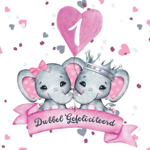 Dubbel Gefeliciteerd: Gastenboek Om De Eerste Verjaardag Van Uw Tweeling Te Vieren. 100 Pagina's Te Personaliseren Met Foto's, Felicitaties, Herinneringen, Groeten En Wensen Van De Gasten.