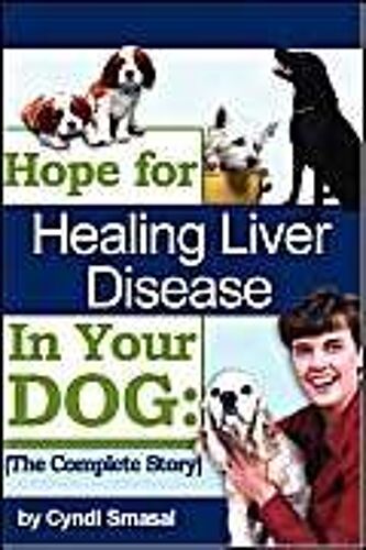 Hope For Healing Liver Disease In Your Dog