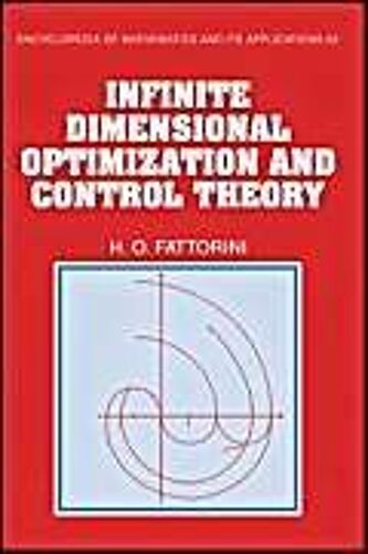 Infinite Dimensional Optimization And Control Theory