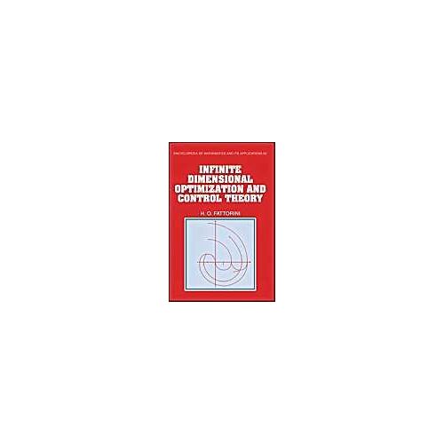 Infinite Dimensional Optimization And Control Theory