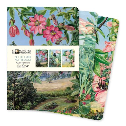 Kew Gardens: Marianne North Set Of 3 Midi Notebooks