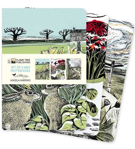 Angela Harding: Landscapes Set Of 3 Midi Notebooks