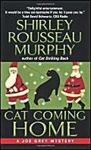 Cat Coming Home