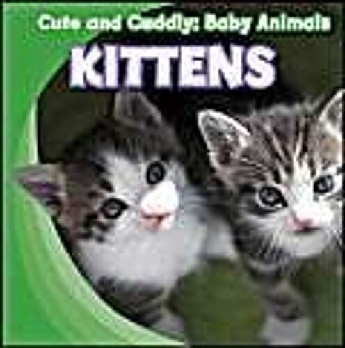 Kittens