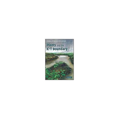 Plants And The K-T Boundary