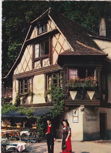  L'alsace Pittoresque  Le Buerehiesel De L'orangerie  À Strasbourg La Cigogne 7.567.140 