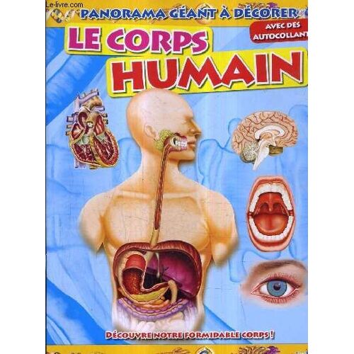 Panorama Geant A Decorer - Le Corps Humain - Autocollants Deja Colles.
