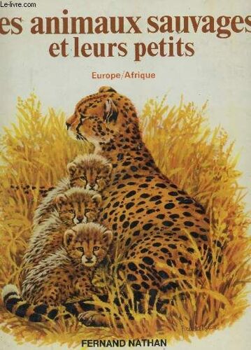 Les Animaux Sauvages Et Leurs Petits -