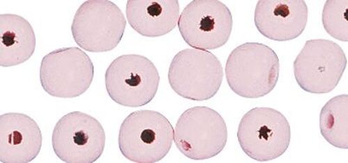 Perle En Bois Rose Ronde Ø 8 Mm 82 Pièces - Rayher