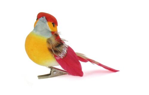 6 Oiseaux Couleur Sur Pince - 8x3,5x3,5 Cm