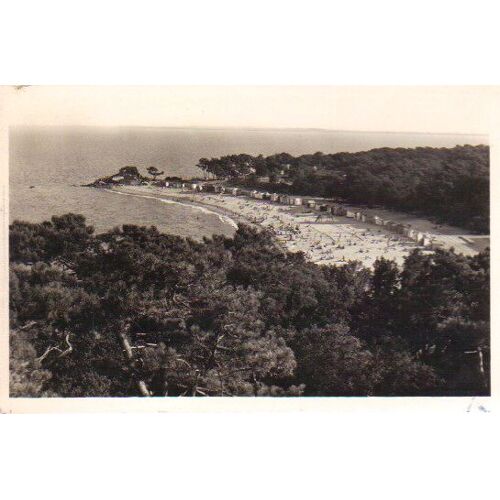 Carte Postale Ancienne De Noirmoutier, Vendée (85) °°°