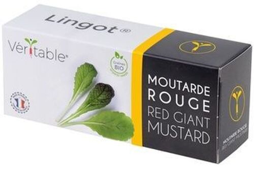Lingot Moutarde Rouge Bio Pour Potager Véritable