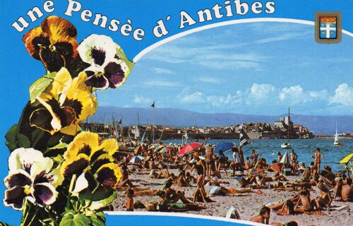 Carte Postale - Une Pensée D'antibes - Plage - Vue Generale -