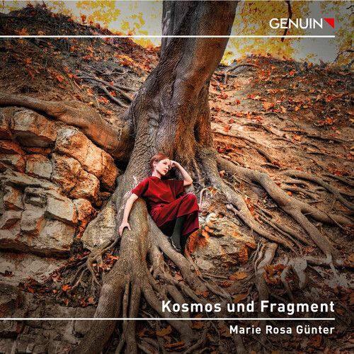 Kallmeyer / Webern / Beethoven - Kosmos Und Fragment [Compact Discs]