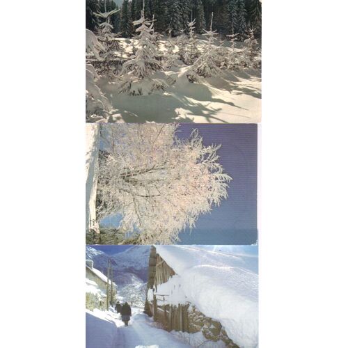 Lot De 3 Cartes Postales, Paysages Enneigés °°°
