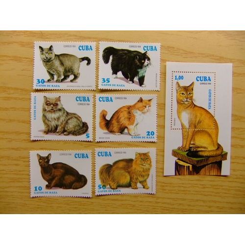Timbres Cuba 1994 Faune Chats De Race Yvert & Tellier N º 3351 - 3356 + Bf 138 
